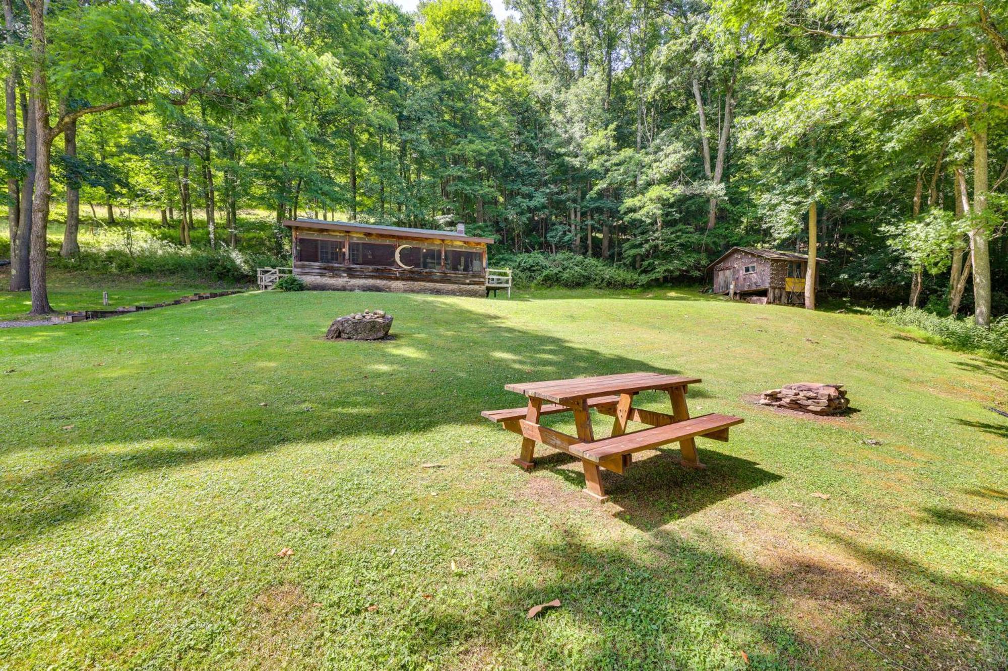 Charming Parsons Cabin With Grill On The Cheat River Εξωτερικό φωτογραφία